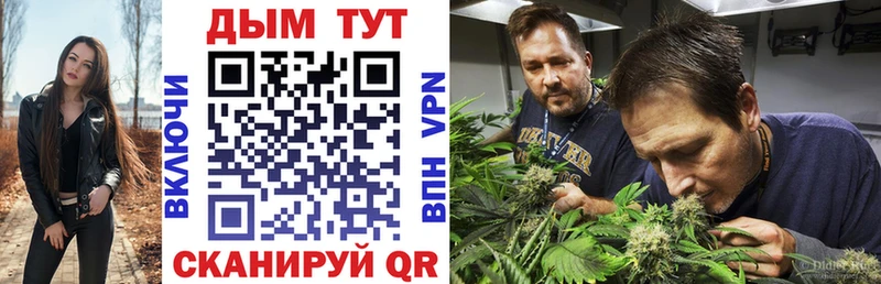Марихуана Bruce Banner  Купить закладки  Мураши 